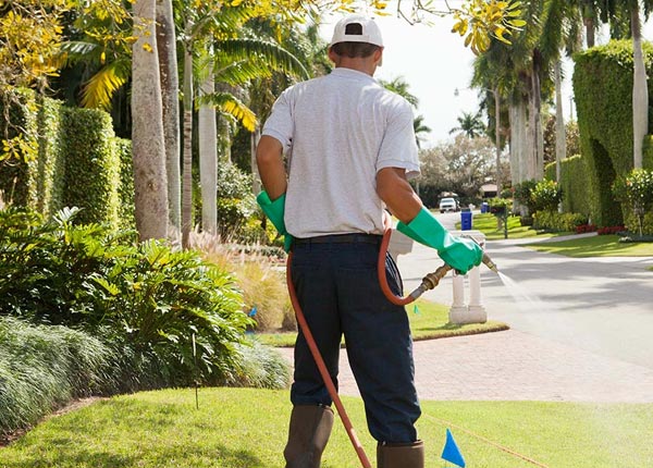 About Malcolm NE Pest Control